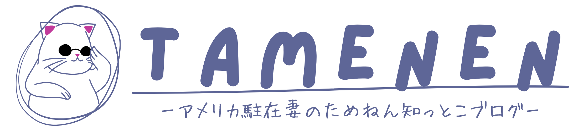 ためねんブログ